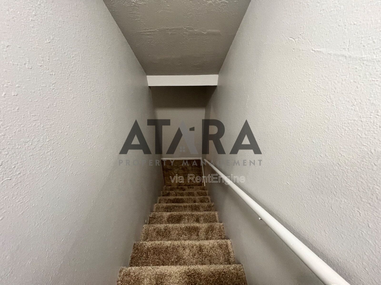 Comfort for You & Your Pet - 3 Bed NSL #13 property image