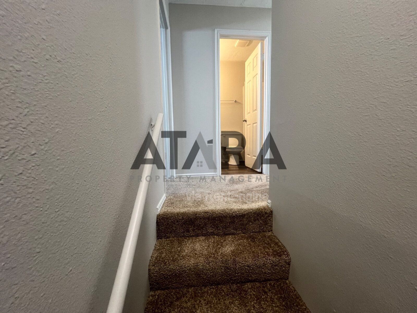 Comfort for You & Your Pet - 3 Bed NSL #13 property image