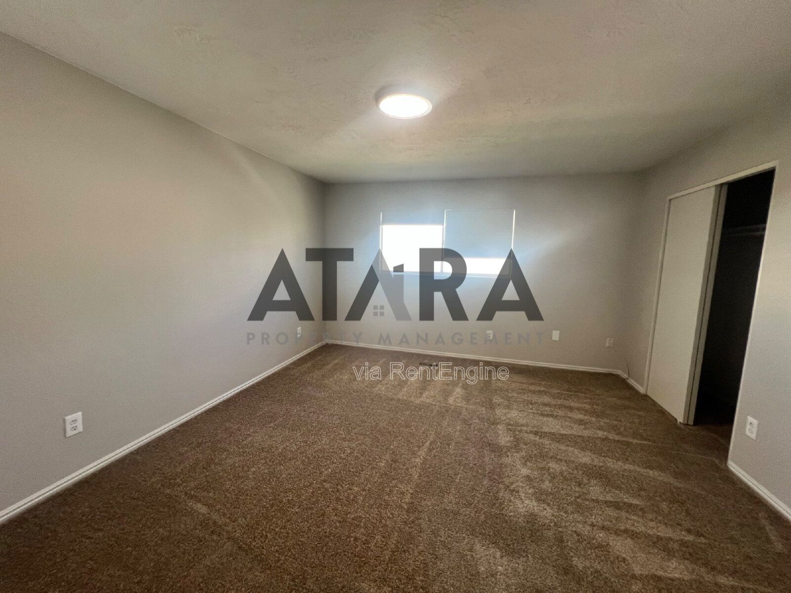 Comfort for You & Your Pet - 3 Bed NSL #13 property image