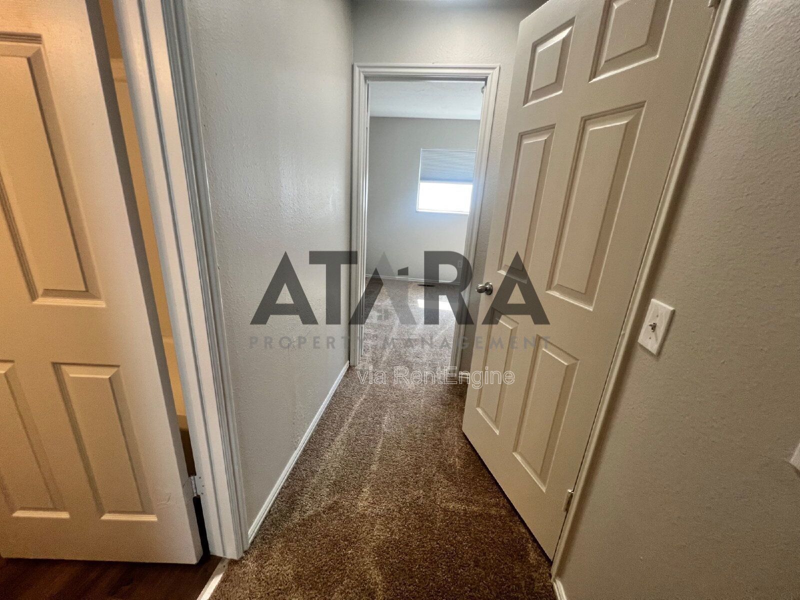 Comfort for You & Your Pet - 3 Bed NSL #13 property image