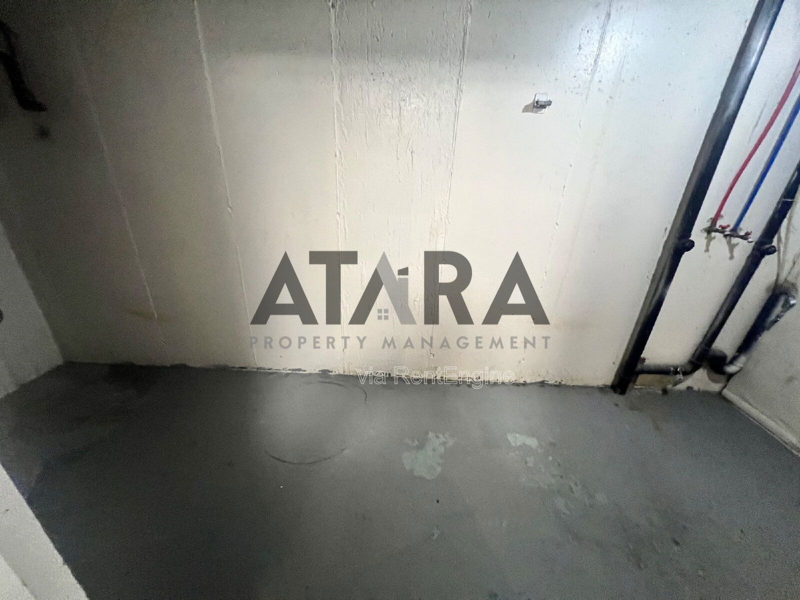 Comfort for You & Your Pet - 3 Bed NSL #4 property image