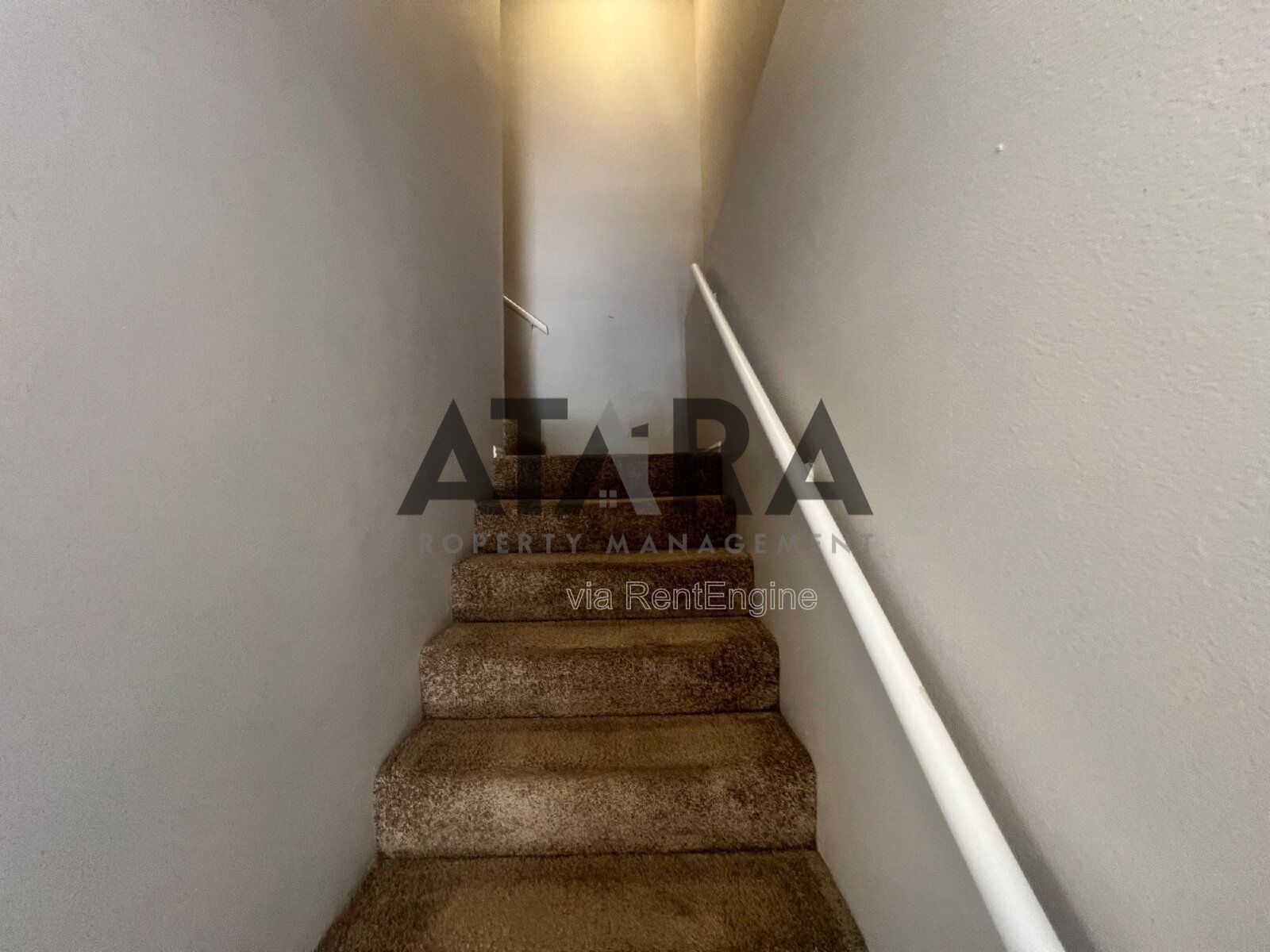 Comfort for You & Your Pet - 3 Bed NSL #4 property image