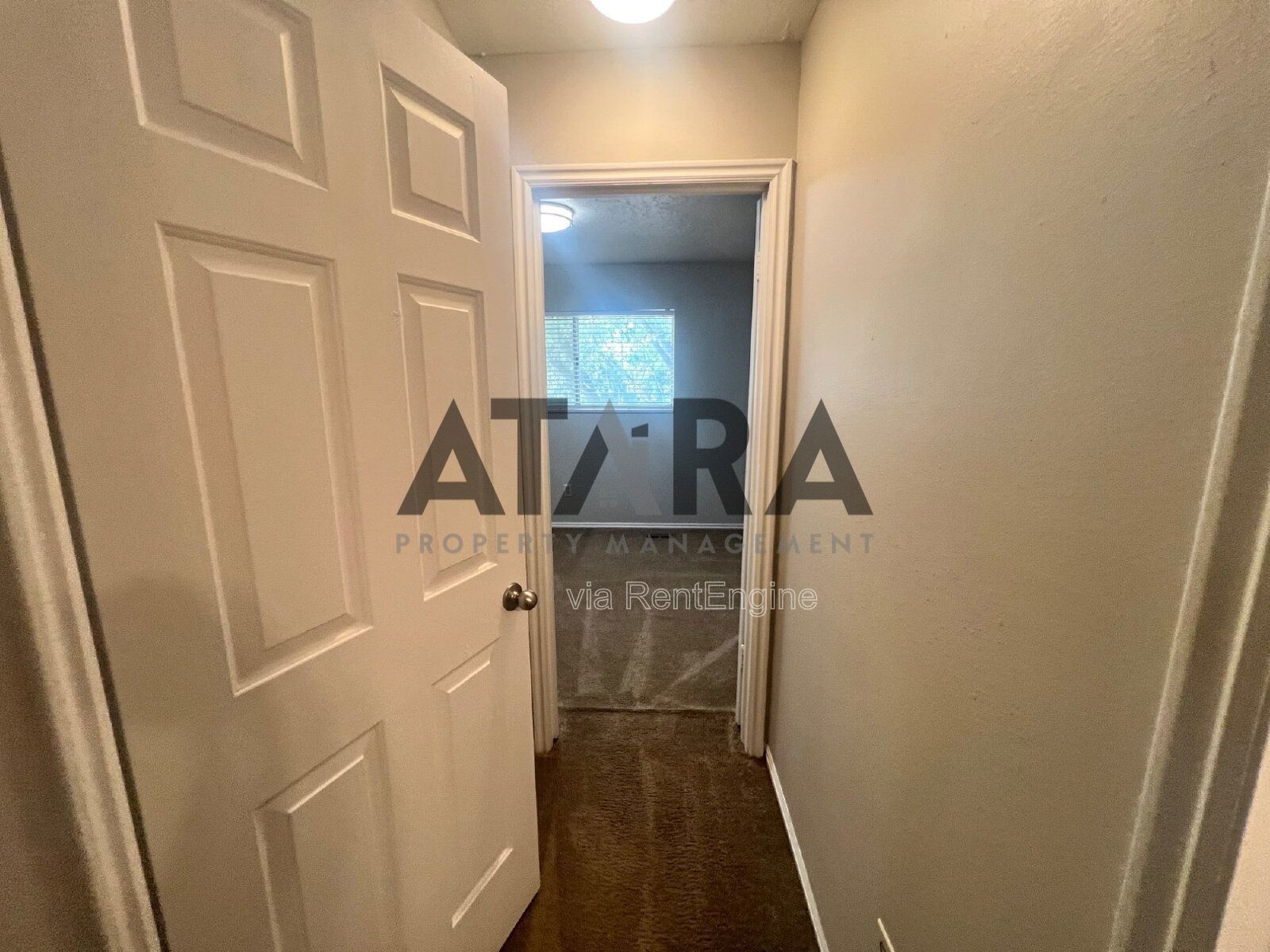 Comfort for You & Your Pet - 3 Bed NSL #4 property image