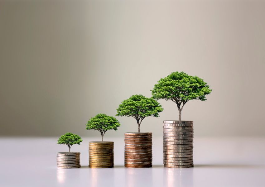 stack of coins getting taller and taller with little trees on top